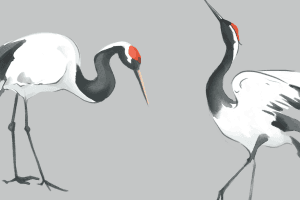 Annual Midwest Crane Count 2026